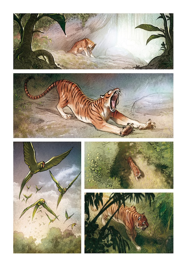 The Jungle Comes to Life in ‘Love: The Tiger’