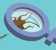 Readers Sound Off on 