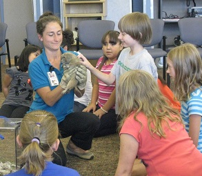 Endangered! With the Denver Zoo, September 2013