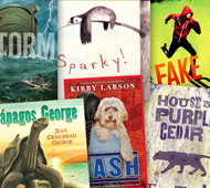 Awards Roundup: The Cook Prize, Edgar Nominees, Sydney Taylor Award, and More