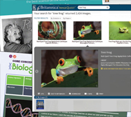 Best Databases: Watch science spring into action with these must-have resources