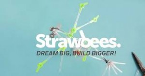 TPiB: Strawbees, a great tool for Makerspaces