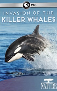 SLJ1503-DVD-Invasion-of-the-Killer-Whales