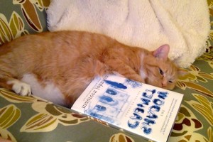 Book Review: The Shadow Cabinet by Maureen Johnson