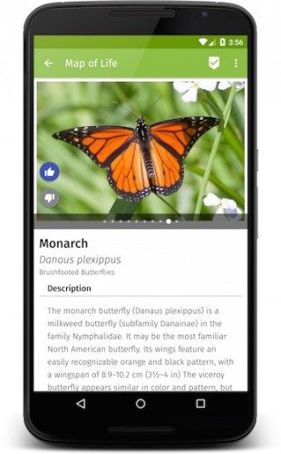 Map of Life goes mobile