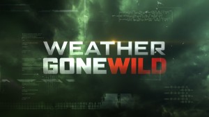 DVD_weathergonewild