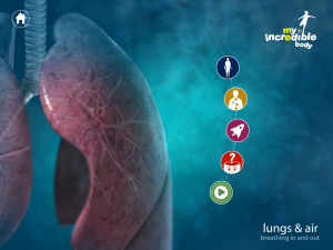 Screen My Incredible Body (Zybright) "The Lung"