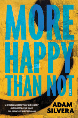 Best Books 2015: More Happy Than Not | Young Adult