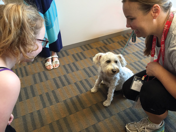 A therapy dog visits Chicago’s Francis W. Parker School. 