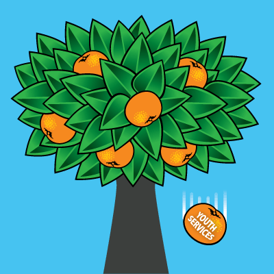 BCL_oranges2