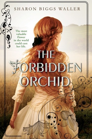 The Forbidden Orchid by Sharon Biggs Waller | SLJ Review