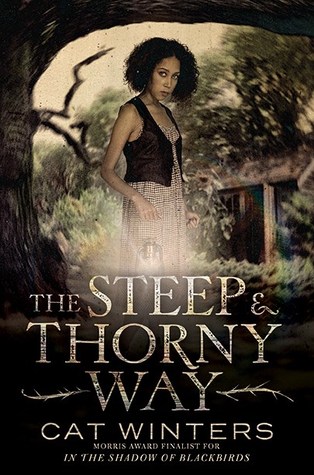 The Steep and Thorny Way by Cat Winters | SLJ Review