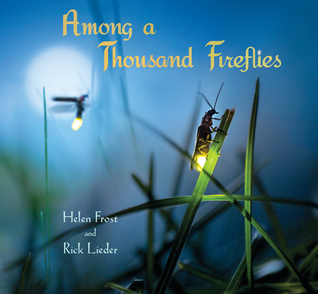 Among a Thousand Fireflies by Helen Frost | SLJ Review