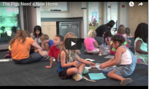pigs need a new home