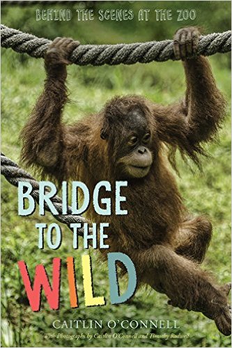 Bridge to the Wild: Behind the Scenes at the Zoo by Caitlin O'Connell | SLJ Review