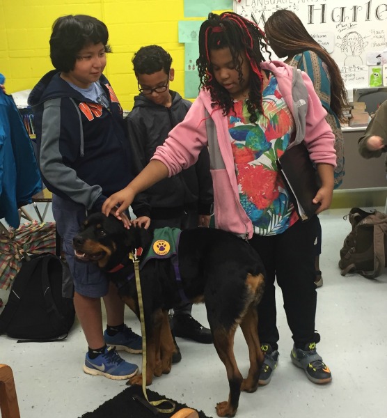 Despite his rather imposing appearance, Rottweiler Dancer had a lot of fans at the school.