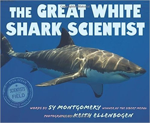 The Great White Shark Scientist by Sy Montgomery | SLJ Review