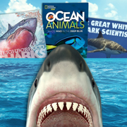 Take a Bite Out of Summer Reading with Shark Week–Themed Titles