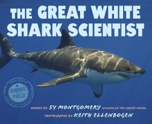 NF-Montgomery-The Great White Shark Scientist