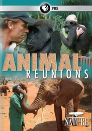 Animal Reunions | SLJ DVD Review