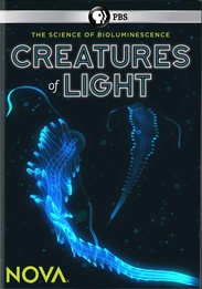 Creatures of Light PBS