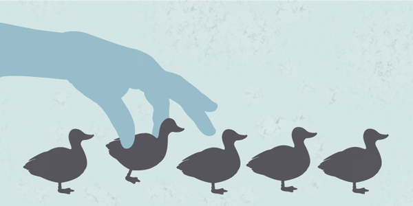 1608-TaketheLead-ducksinRow