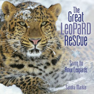 great leopard rescue