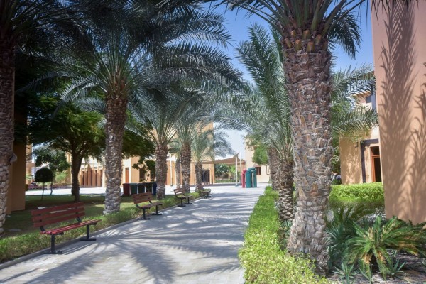 Back to school in Abu D Photo by K. Antigone Towbridge