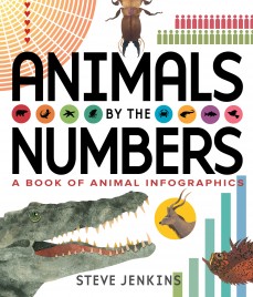 nf-spot-jenkins-animalsbythenumbers