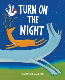 picturebooks-spotlight-valerio-turnonthenight