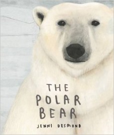 The Polar Bear by Jenni Desmond | SLJ Review