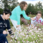 New Year, New Ideas: Knockout Programming for 2017