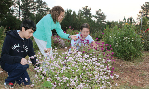 Tending the garden at Clarke Middle School in Athens, GA Courtesy of Shawn Hinger
