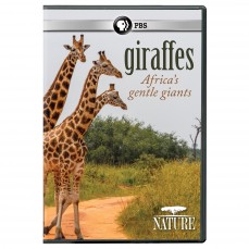 Giraffes: Africa’s Gentle Giants | SLJ DVD Review