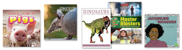 SLJ1702-NF-Series-CVs