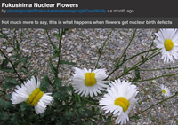 Teaching News Literacy? Check Your Own Bias, Says Librarian