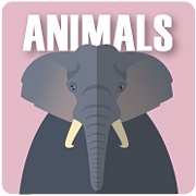 Helpers and Hunters: Animals | Series Nonfiction