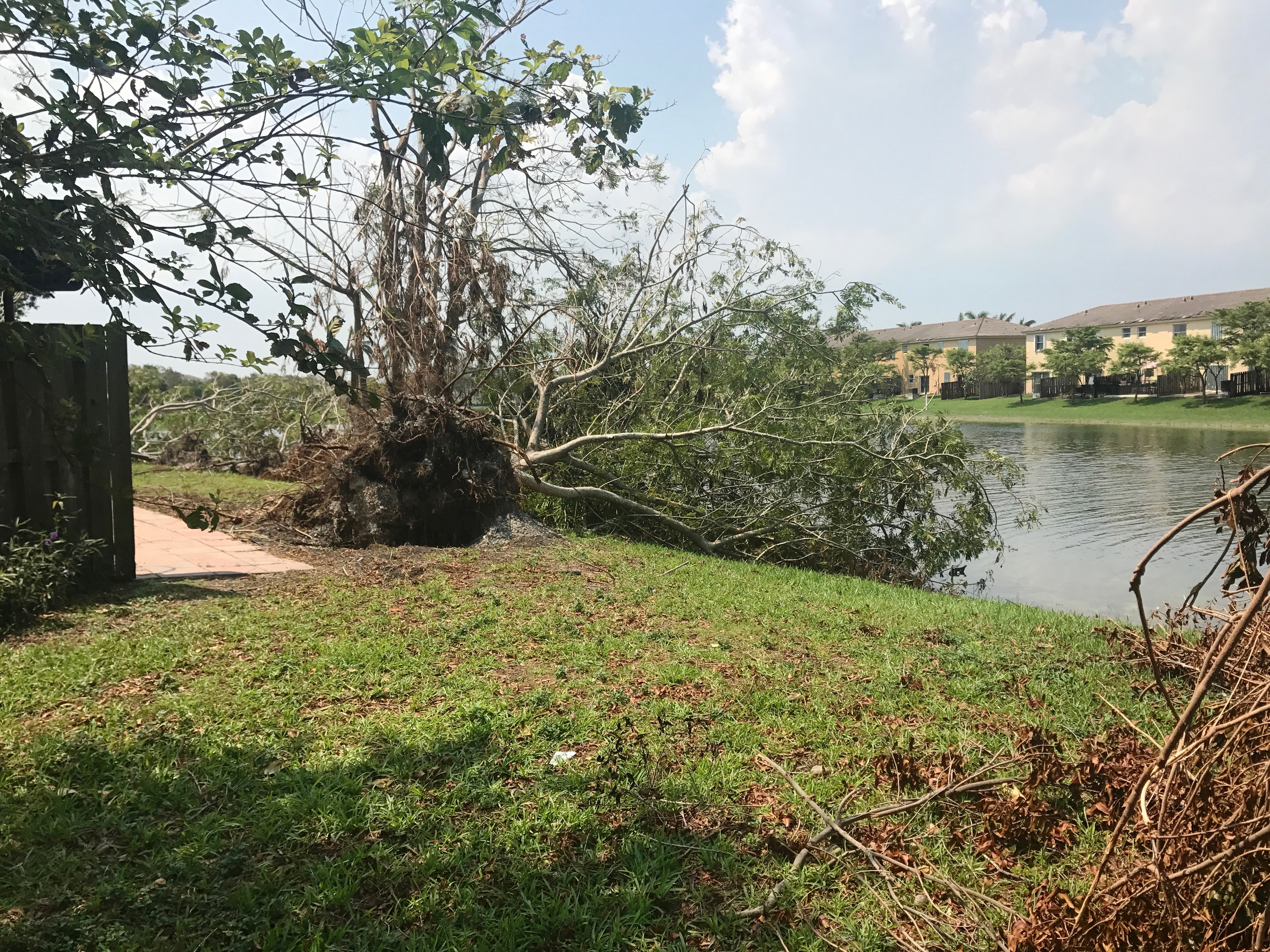 Reporting on Hurricanes, and then Fleeing One