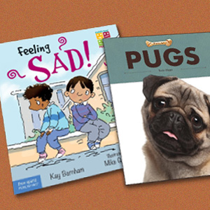 8 Nonfiction Series from Smaller Publishers