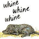 The Lingering Lessons of the YMAs