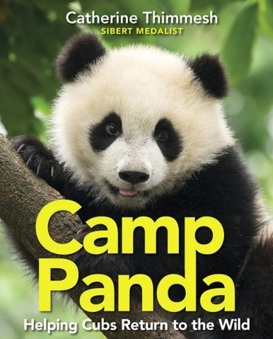 Camp Panda by Catherine Thimmesh | SLJ Review