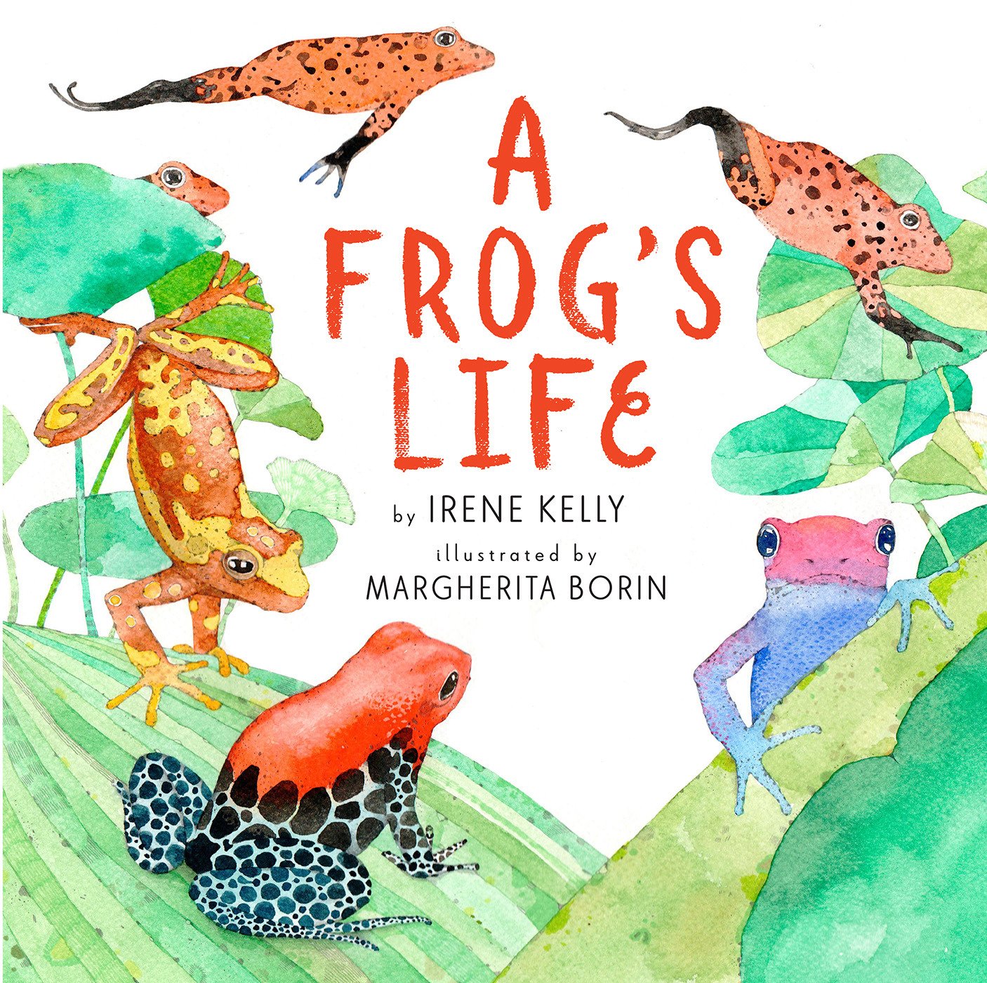 A Frog's Life by Irene Kelly | SLJ Review