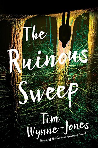 The Ruinous Sweep by Tim Wynne-Jones | SLJ Review
