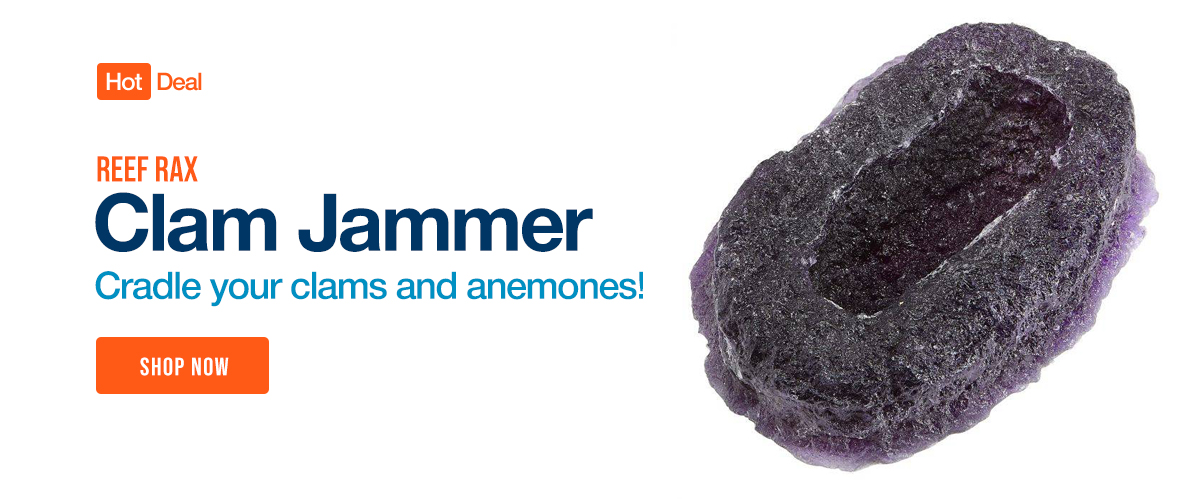 Reef Rax Clam Jammer