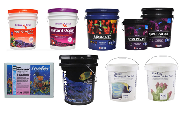 blue wilderness dog food small breed