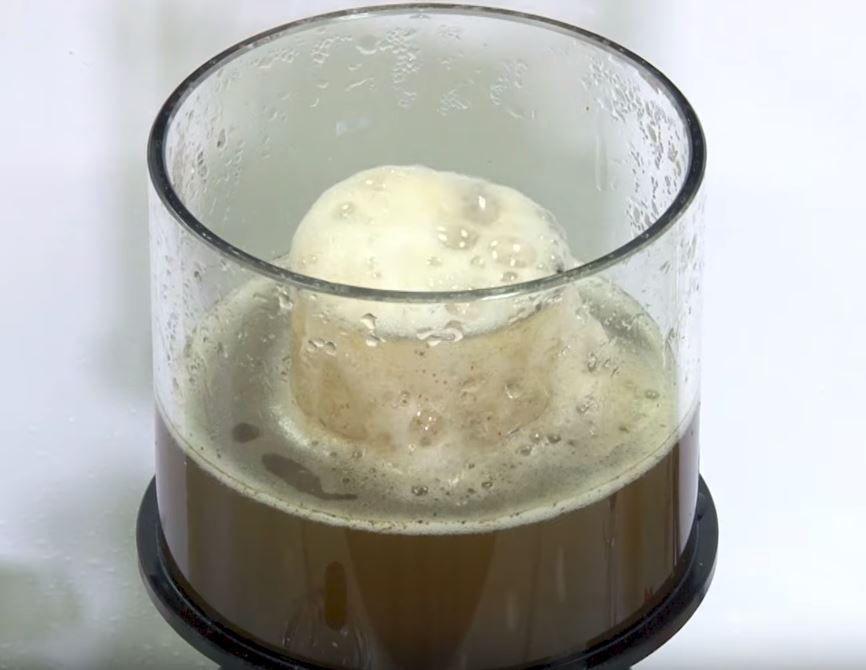 Protein skimmer guide Explaining what they do and how they work