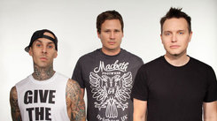 Small_new_blink