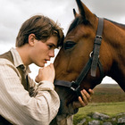 Thumb_140_webwarhorse_dreamworks