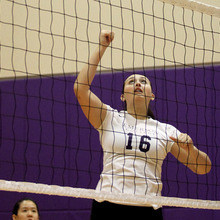 Thumb_220_chapman_vballarchive