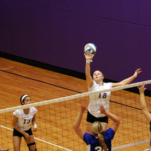 Thumb_220_volleyball_ally